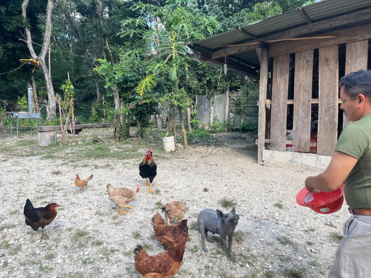Casados Ranch Hotell Escárcega Eksteriør bilde